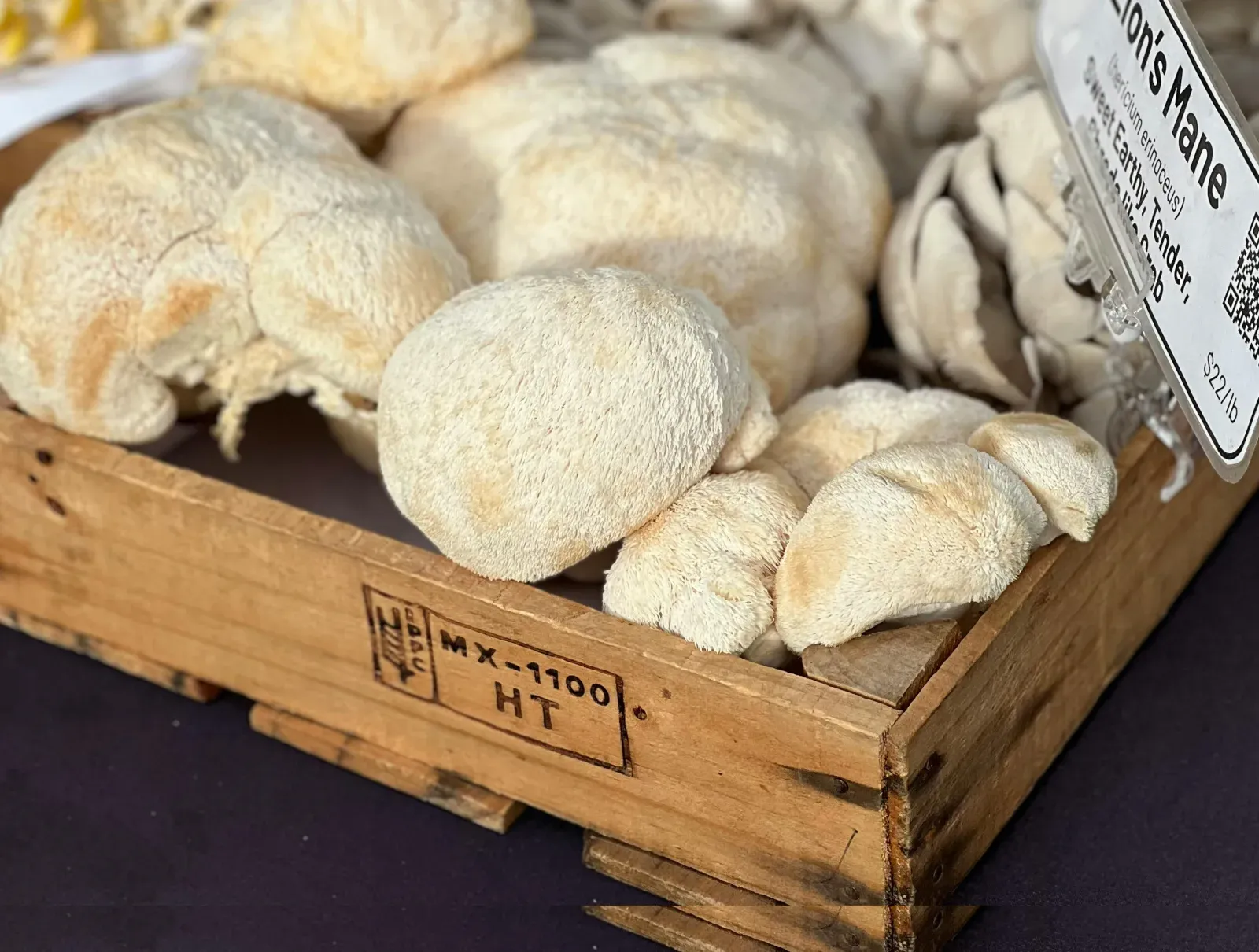 Cluster of lion's mane mushrooms with dense white icicle-like teeth in a wooden farmer's market crate