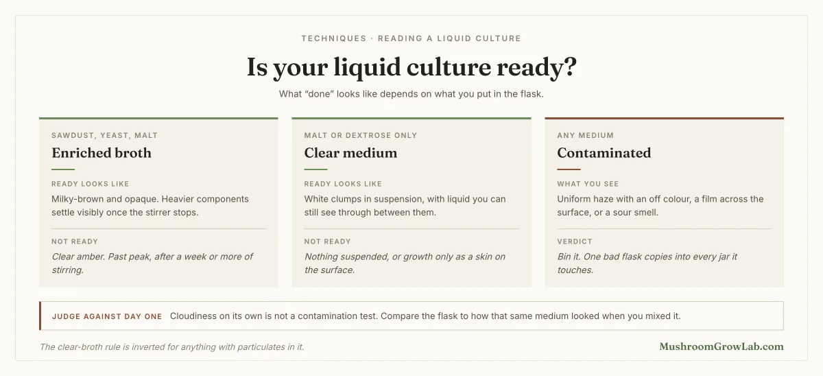 Three-panel guide to judging whether a liquid culture is ready, scoped to the medium in the flask. Enriched broth made with sawdust, yeast and malt: ready looks milky-brown and opaque, with heavier components settling visibly once the stirrer stops; clear amber means past peak, after a week or more of stirring. Clear medium made with malt or dextrose only: ready looks like white clumps in suspension with liquid you can still see through between them; not ready means nothing suspended, or growth only as a skin on the surface. Contaminated, in any medium: uniform haze with an off colour, a film across the surface, or a sour smell, and the verdict is to discard it because one bad flask copies into every jar it touches. Closing note: cloudiness on its own is not a contamination test, so compare the flask to how that same medium looked when you mixed it.