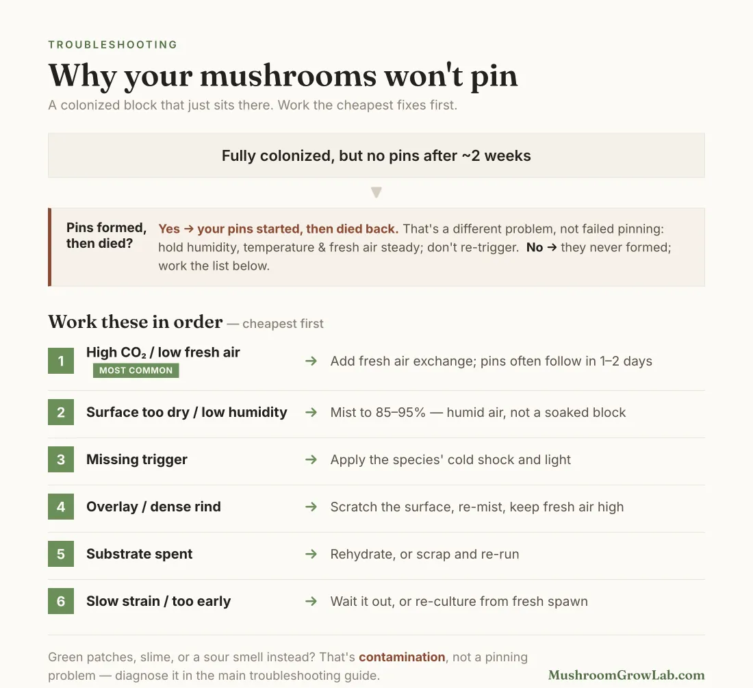 Flowchart for diagnosing a mushroom that won't pin: first check whether pins formed and aborted, then work six causes cheapest-first — high CO₂ and low fresh air, dry surface, missing cold or light trigger, overlay, spent substrate, or a slow strain.