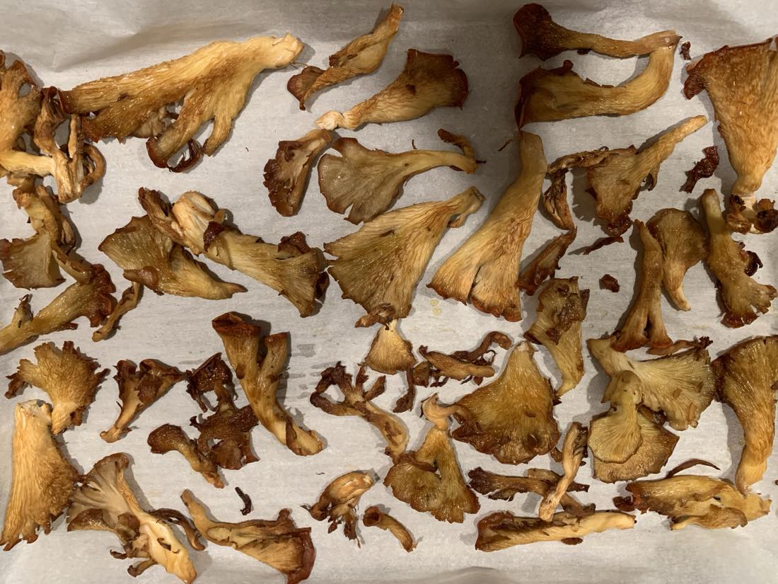Pink oyster mushrooms roasted until browned and crisp on parchment