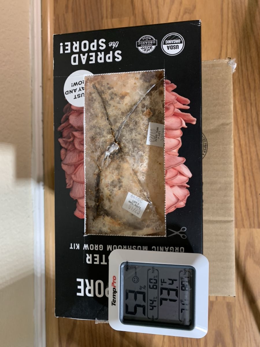 A TempPro hygrometer reading 73.4 degrees and 53 percent humidity next to the freshly cut kit