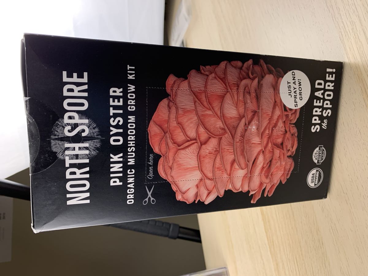 North Spore Pink Oyster grow kit box sitting on its Amazon shipping carton