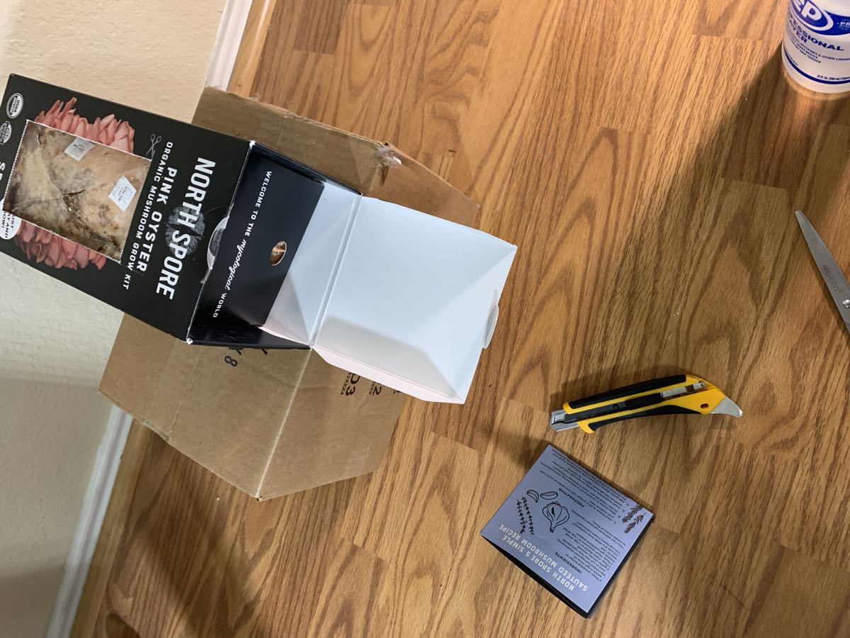 The North Spore box opened at the top revealing the instruction card and a small spray bottle inside